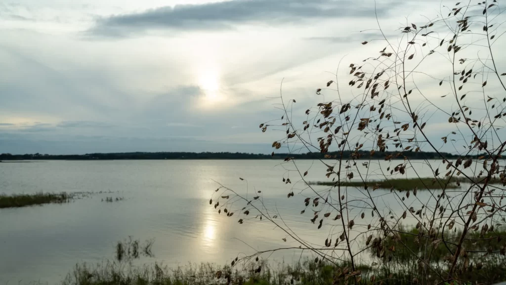 Sunset over Johns Lake from the Hickory Hammock shoreline