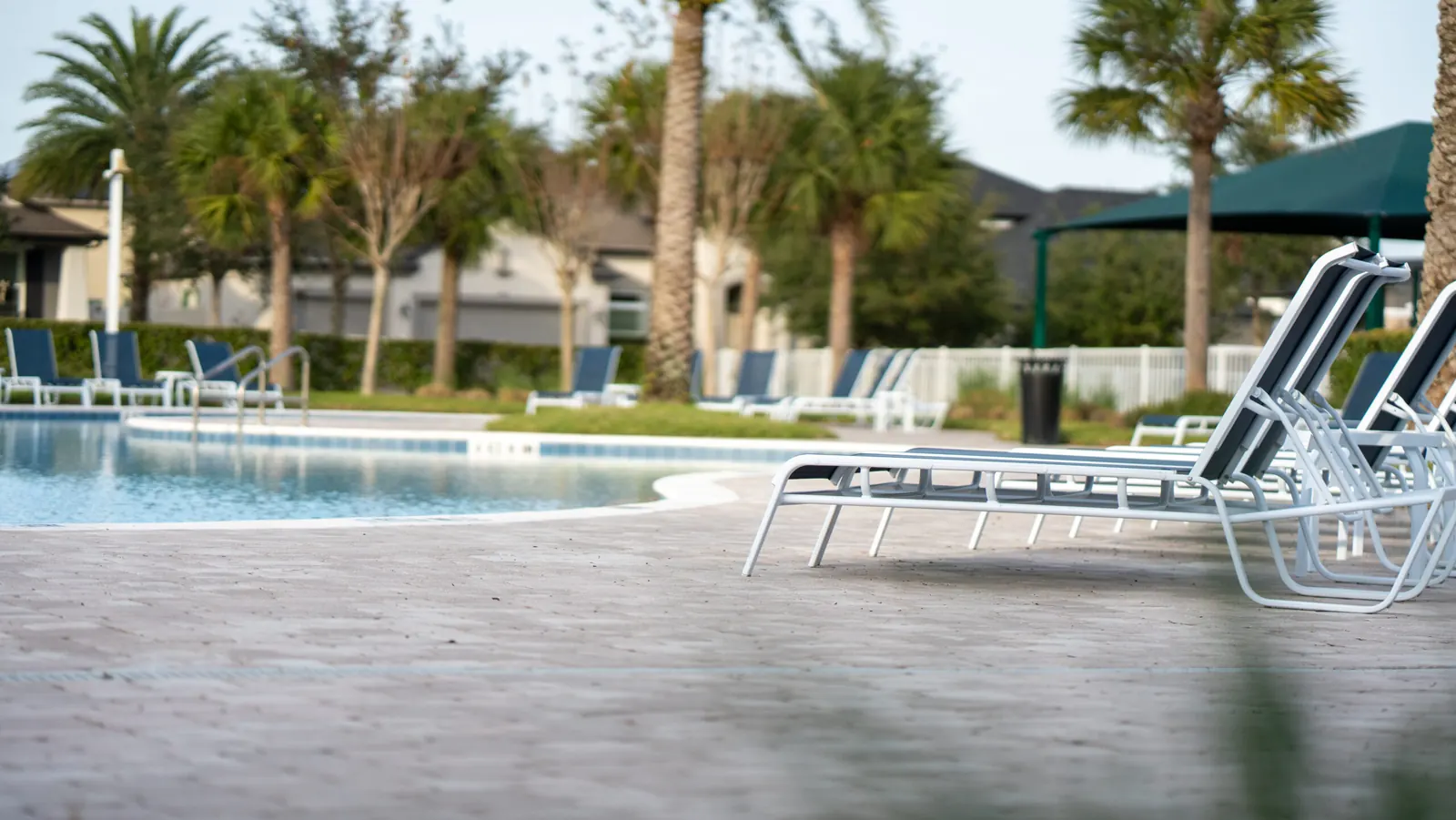 Hickory Hammock community pool with palm trees and lounge chairs