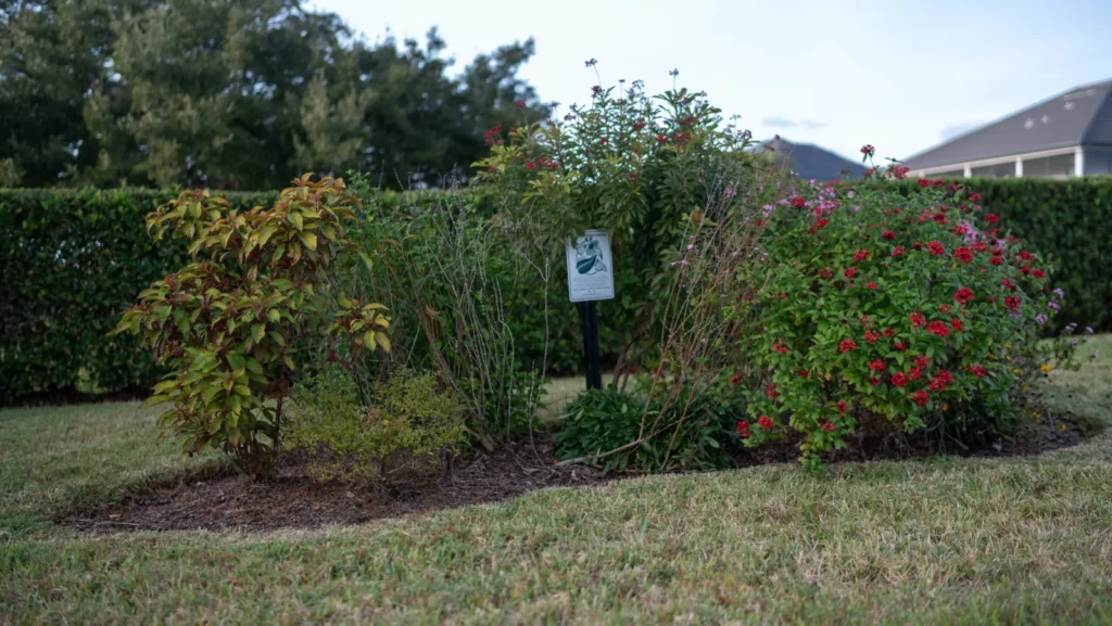 Butterfly garden with native plants at Hickory Hammock