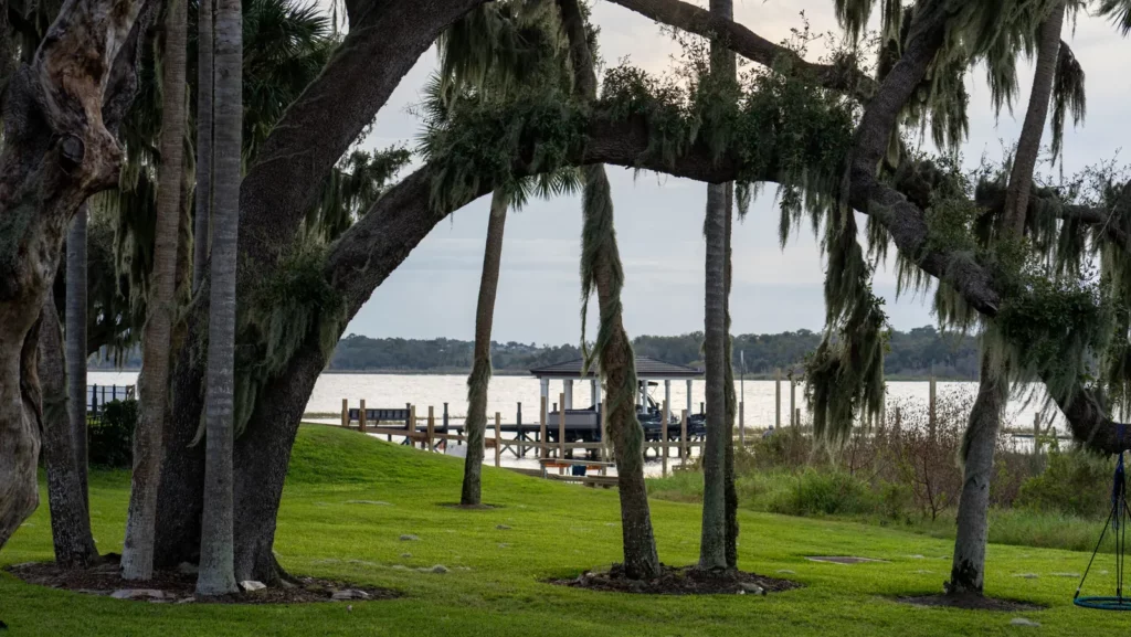 Live oak trees on the lawn beside Johns Lake at Hickory Hammock
